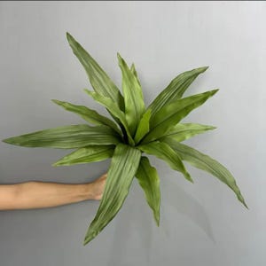 Planta artificial Brazilian Beauty Tequila de 20 hojas para jardín. imagen 6