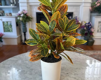 Artificial Crotons Plant for Outdoor Garden Landscaping