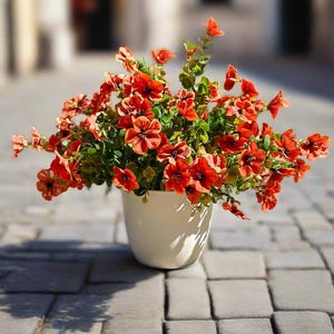 May include: A white ceramic pot filled with vibrant red flowers and green foliage. The flowers have a dark center and are in full bloom. The pot sits on a gray brick surface, creating a contrast of colors and textures.