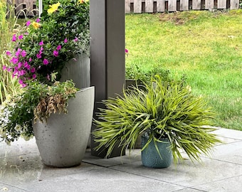 Planta artificial de hierba dulce para paisajismo de jardines.