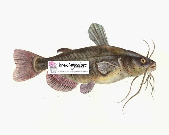 CATFISH ART PRINT Watercolor Fish Print, Fish Drawing, Mudcat
