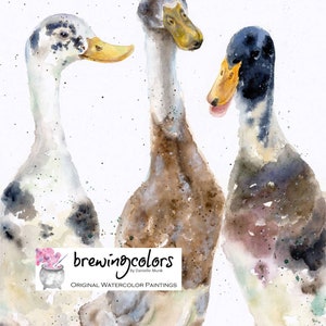 DUCK ART PRINT -  runner duck wall art, duck decor, duck nursery, farmhouse art, duck art prints, runner duck art, duck art, geese art