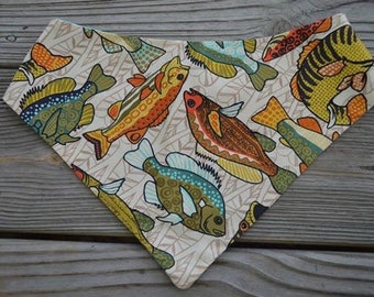 Fish Frenzy