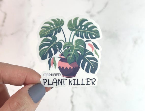 Funny Plant Sticker or Magnet | Certified Plant Killer | Plant Flowers Water bottle Laptop Sticker Cheeky