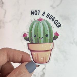 Pas un Hugger Sticker |  Sticker pour ordinateur portable Bouteille d'eau arc-en-ciel Cactus mignon Cadeau amusant pour un ami