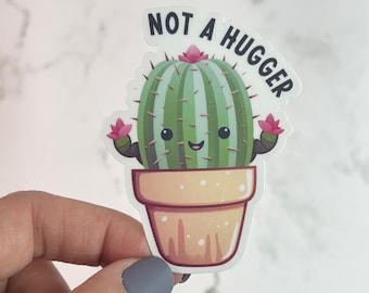 Not A Hugger Sticker |  Rainbow Water bottle Laptop Sticker Cute Cactus Funny Gift for Friend