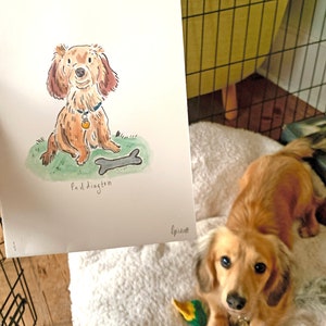 Simple Hand-Painted Personalised Pet Portrait image 2