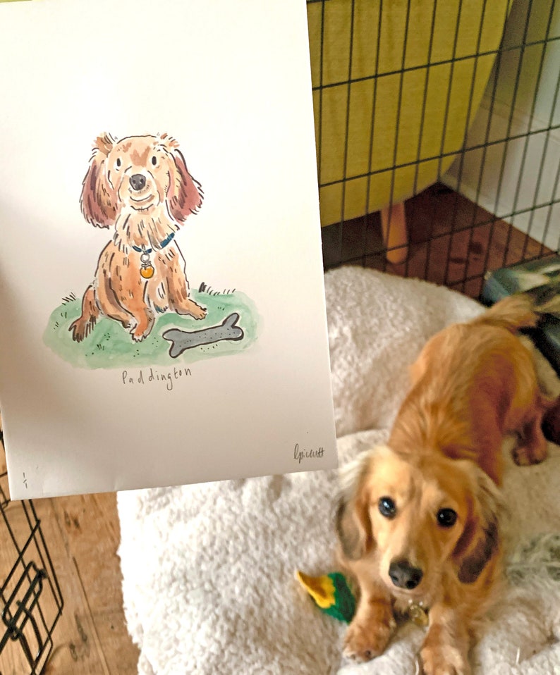 Simple Hand-Painted Personalised Pet Portrait image 2