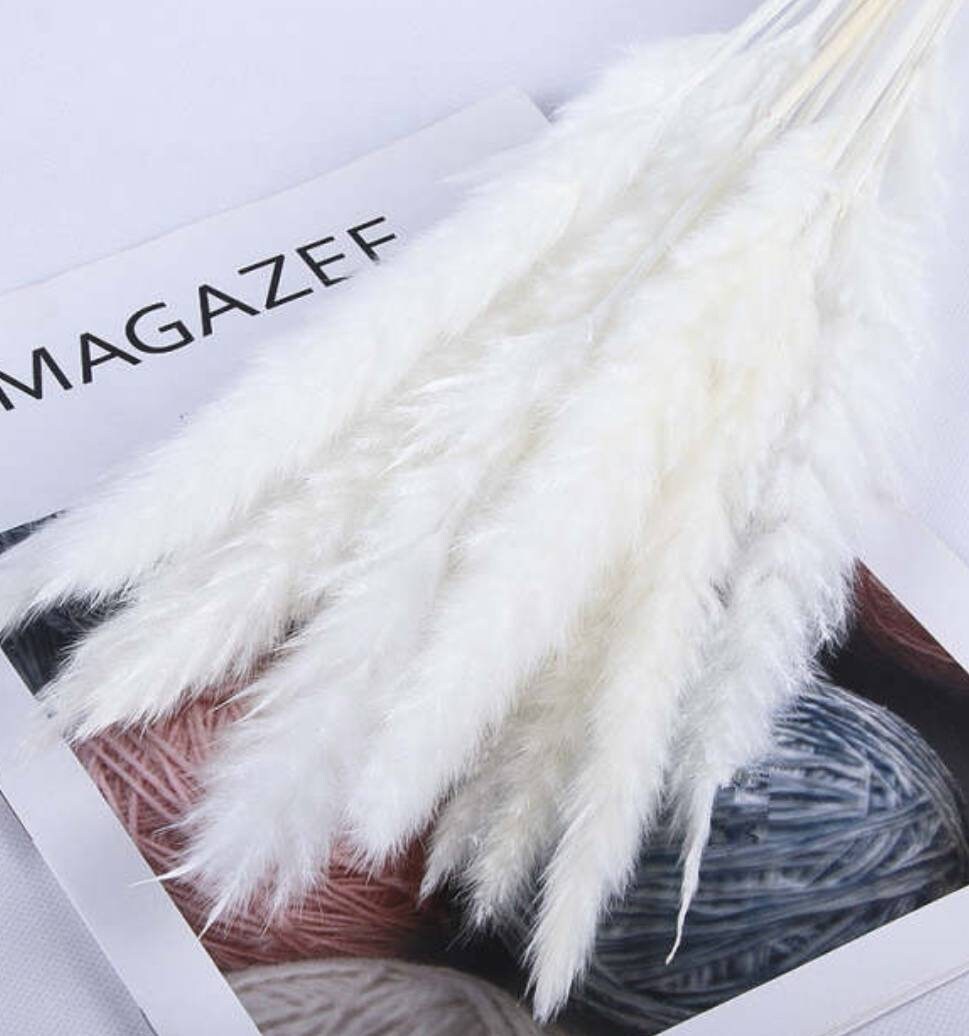 Pampas Grass With Vase Available in Black White and Natural Etsy UK