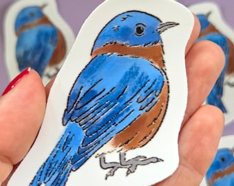 Eastern Bluebird Sticker - Waterproof Ornithology Laptop decal 2"x2"
