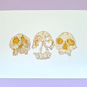 Hominin Skull Art Print - Human Evolution Illustration Decor