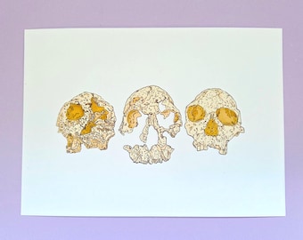 Hominin Skull Art Print - Human Evolution Illustration Decor