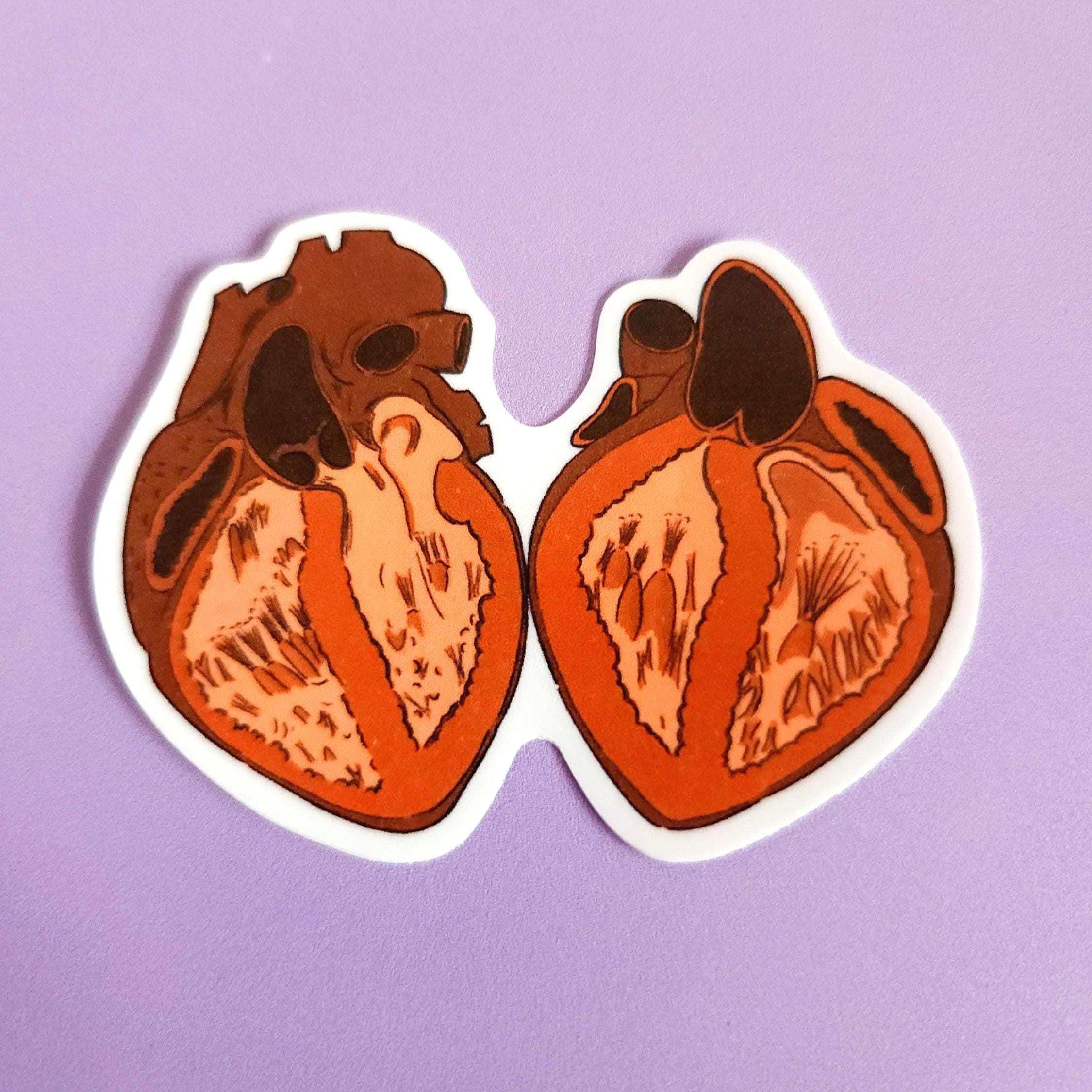 Keep Your Heart Open - Anatomically Correct Heart Sticker