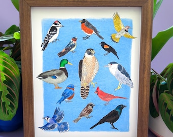 Birds of Chicago Art Print - Midwest Ornithology Illustration Poster