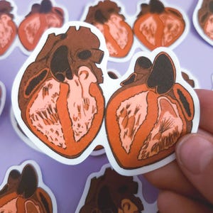 Keep Your Heart Open Vinyl-Aufkleber - Anatomisches Herz-Wasserdichter Aufkleber