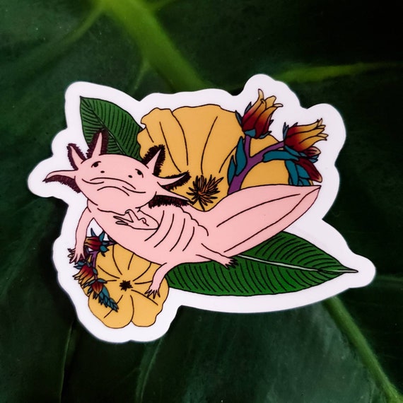 Axolotl Aufkleber Set - 50 Bunte Sticker Wasserfest Für Trinkflaschen & Laptops