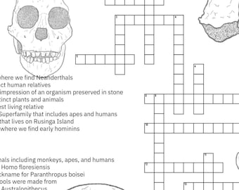 Human Evolution Crossword Puzzle - Homeschool Worksheet