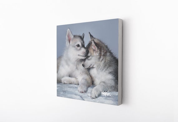 一緒に | 16x16 限定版キャンバスプリント - Etsy 日本