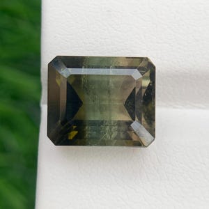 Green Tourmaline Gemstone: 7.50ct Octagon Cut, Olive to Forest Green