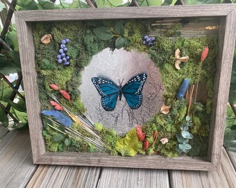 Maak je eigen CUSTOM ORDER Vegan Butterfly Taxidermy Shadowbox