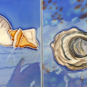 May include: Two ceramic tiles with a blue background and painted images of seashells. The tile on the left features a nautilus shell and a smaller shell. The tile on the right features a large oyster shell.