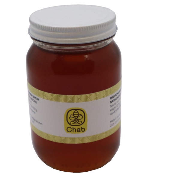 Melipona bee honey (raw honey)