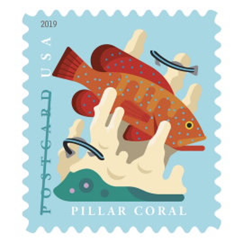 Coral Reefs Postcard Stamps USPS Postcard Postage Stamps 2019 Etsy