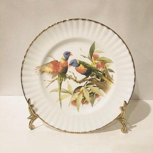 Dinner Plate  RVA68 ROYAL VALE, made in england, A 57 0 royal vale