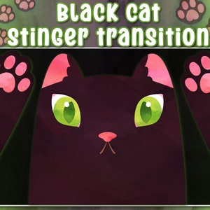 Black Cat Stinger Transition ANIMATED Streamer Transition Twitch Kitty ...