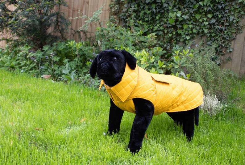 Dog Raincoat Wool Breathable Lining 100 Handmade Water Etsy UK