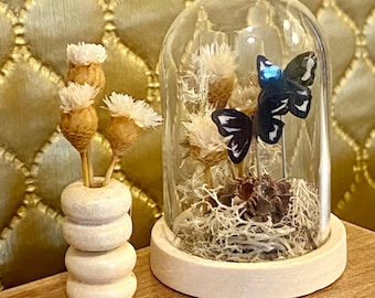 Miniature Butterfly Terrarium