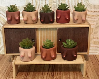 Miniature Handmade Boob Planters for Dollhouse