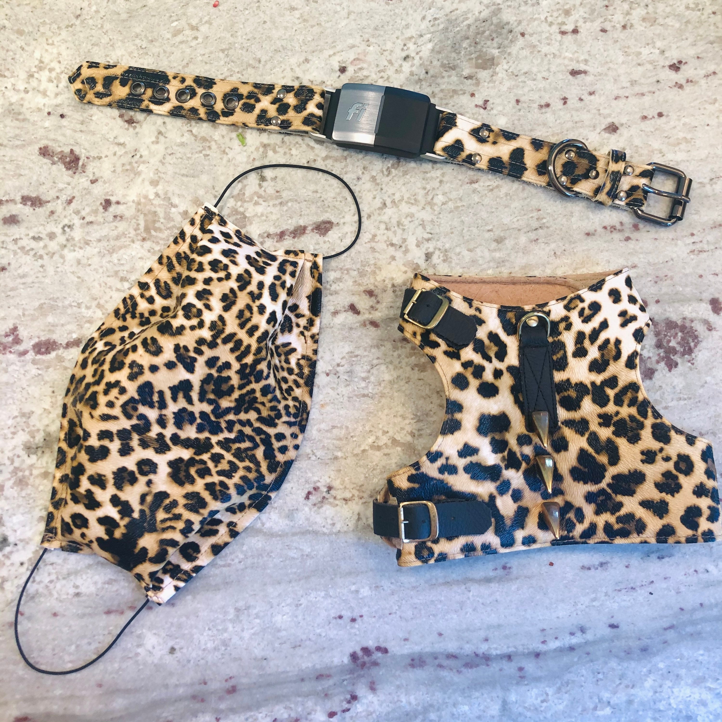 Cheetah Print Cat Harness Will Be Based on Your Cat Etsy