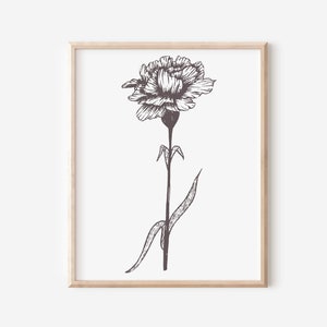 January Birth Flower Print: Carnation Art (Instant Digital Download