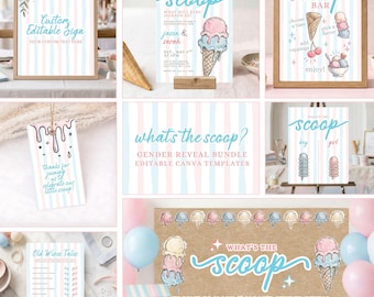 Was ist die Schaufel Gender Reveal Bundle, bearbeitbare Canva-Vorlage, Eis Gender Reveal Party Bundle, druckbares Dekorset, WTS1
