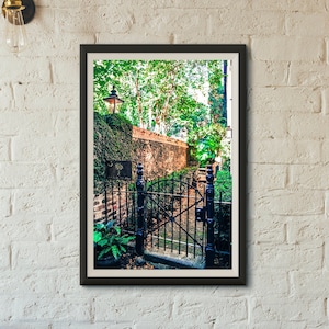 Charleston Home Travel Photography Fine Art Print Southern Wall Decor Palmetto Tree Charleston Art Photo Print Digital Download Travel Gift