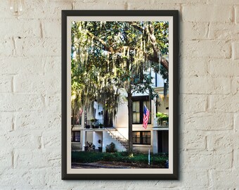 Live Oak Art USA Photography Savannah Print American Flag Art Southern Home Decor Digital Download Georgia Print Travel Home Decor
