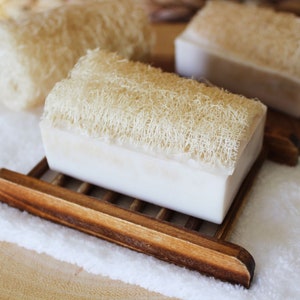 Coconut & Shea Butter Loofah Soap Bar || Medium Exfoliator