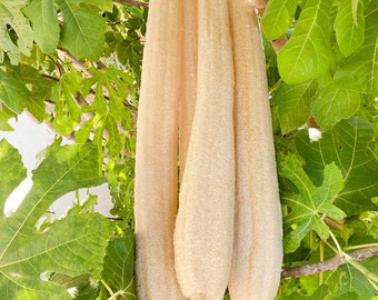 Natural X-Large Whole Loofah Sponge 20”+ - 25" | 100% Eco-Friendly, Plant Based, Biodegradable