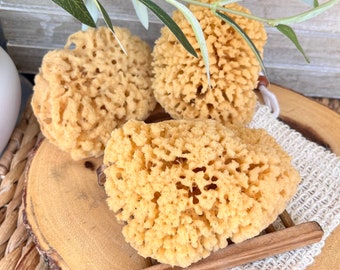 Natural Yellow Sea Sponge