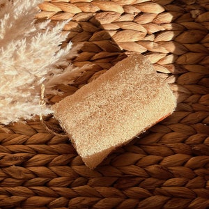 Loofah Woody Brush