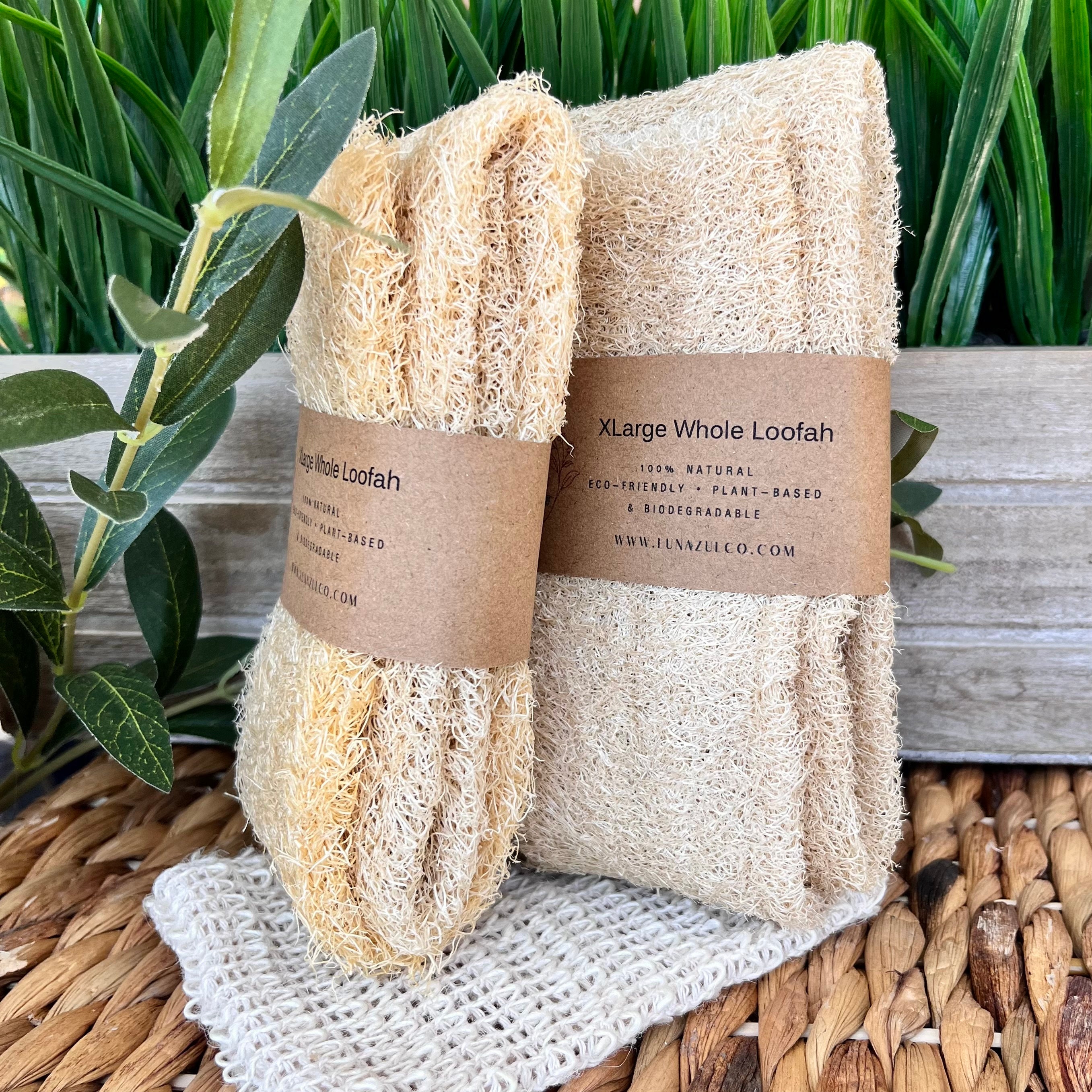15 Morceaux De Luffa (Loofa) Naturel - 15 à 20 Cm Avec Ficelle - Neuf - Gant De Massage/exfoliation