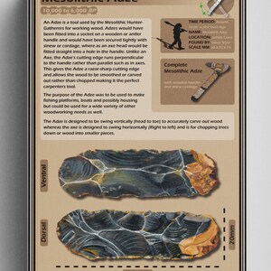 May include: A Mesolithic Adze, a tool used for working wood, with a wooden handle and sinew cordage. The adze is 72 mm long and 20 mm wide. The adze is designed to be swung vertically to carve wood and horizontally to chop wood.