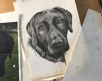 Commission Custom Animal Drawings