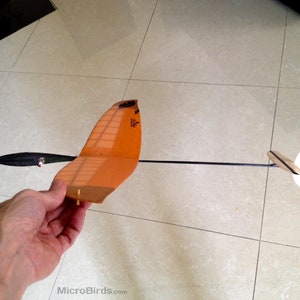 Puede incluir: Un peque&ntilde;o avi&oacute;n modelo naranja y negro con un cuerpo largo y delgado y una cola blanca y color madera. El modelo se sostiene en una mano, con el logotipo de MicroBirds visible en la parte inferior.
