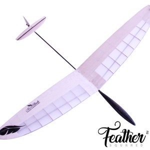 Puede incluir: Un planeador modelo de color claro con un dise&ntilde;o de ala largo y delgado. El planeador presenta una cola negra y una peque&ntilde;a aleta. El ala tiene un patr&oacute;n de cuadr&iacute;cula y el texto "Micro Birds" y "Feather Squared" son visibles.