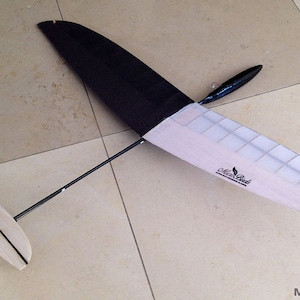 Puede incluir: Un modelo de avi&oacute;n con un dise&ntilde;o de ala en blanco y negro, con un logotipo de pluma y el texto "MicroBirds". El avi&oacute;n tiene un cuerpo largo y delgado y una secci&oacute;n de cola separada. La envergadura es de aproximadamente 76 cm.