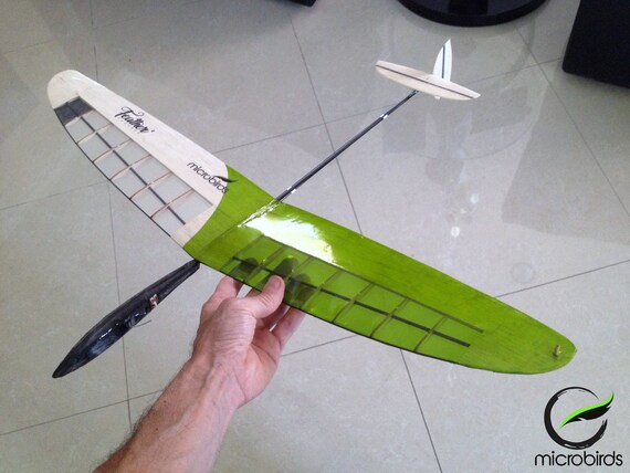 small rc glider