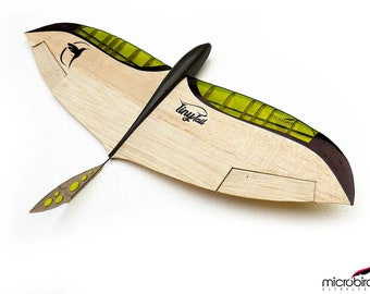 Kit de planeador teledirigido Tiny Tail de 2 canales con control remoto, vuelo libre y lanzamiento con bungee