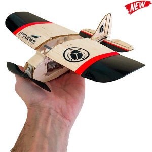 Micro Beetle Electric RC Airpalne Kit 3CH Radio Control UltraSmall Ultra Fun Air Plane MicroBirds Hobby Toy Grade Build and Fly
